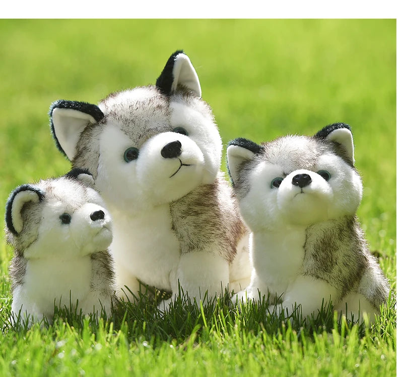 20cm Lifelike Cute Husky Dog Plush Toys Soft Stuffed Animal Kawaii  Children Toys Birthday Gift for Girl Cartoon Fluffy Dog Toy