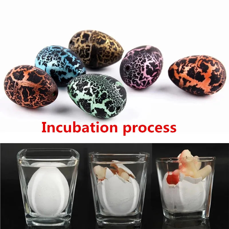 Children's Educational Toys Novelty  Funny Dinosaur Eggs  Magic Water Hatching Animal Breeding Process Education Teaching Tools