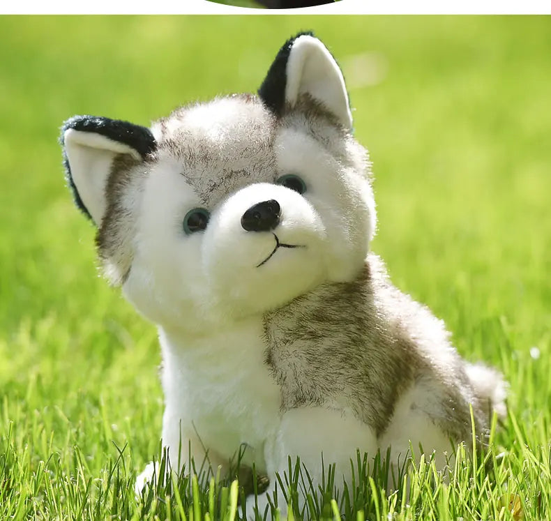 20cm Lifelike Cute Husky Dog Plush Toys Soft Stuffed Animal Kawaii  Children Toys Birthday Gift for Girl Cartoon Fluffy Dog Toy