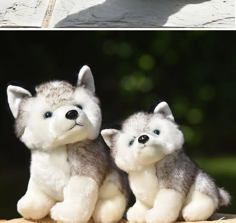 20cm Lifelike Cute Husky Dog Plush Toys Soft Stuffed Animal Kawaii  Children Toys Birthday Gift for Girl Cartoon Fluffy Dog Toy