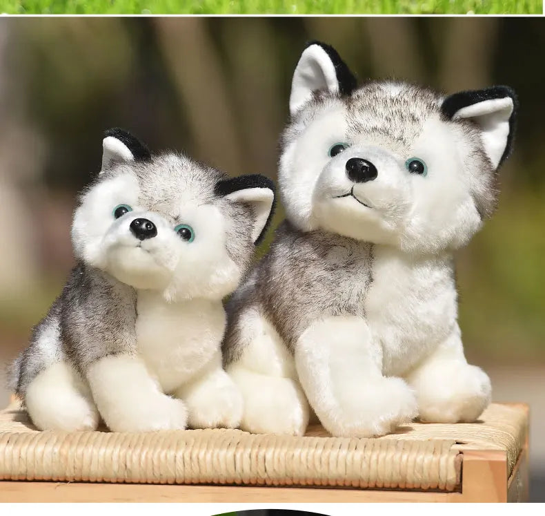 20cm Lifelike Cute Husky Dog Plush Toys Soft Stuffed Animal Kawaii  Children Toys Birthday Gift for Girl Cartoon Fluffy Dog Toy