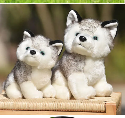 20cm Lifelike Cute Husky Dog Plush Toys Soft Stuffed Animal Kawaii  Children Toys Birthday Gift for Girl Cartoon Fluffy Dog Toy