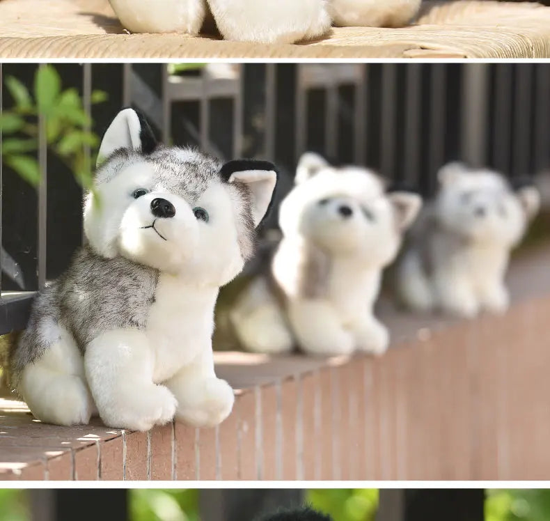 20cm Lifelike Cute Husky Dog Plush Toys Soft Stuffed Animal Kawaii  Children Toys Birthday Gift for Girl Cartoon Fluffy Dog Toy