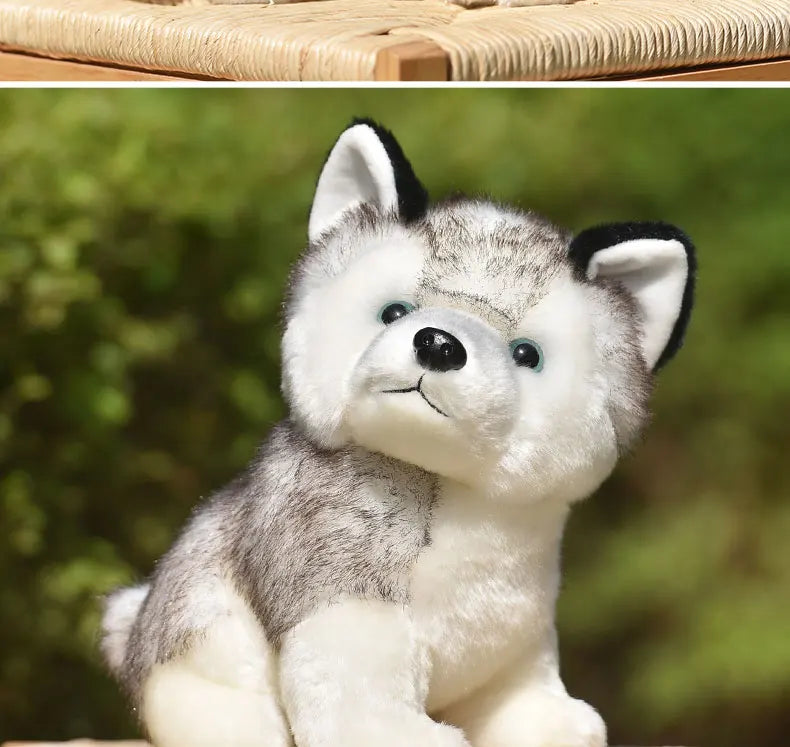 20cm Lifelike Cute Husky Dog Plush Toys Soft Stuffed Animal Kawaii  Children Toys Birthday Gift for Girl Cartoon Fluffy Dog Toy