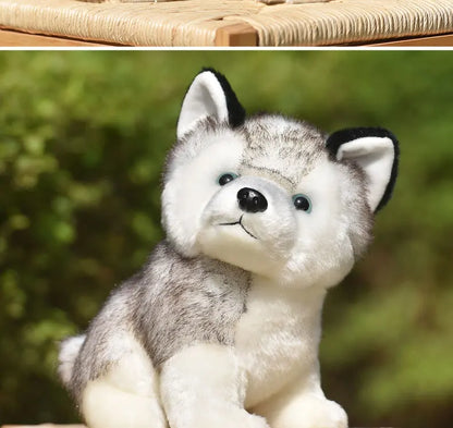 20cm Lifelike Cute Husky Dog Plush Toys Soft Stuffed Animal Kawaii  Children Toys Birthday Gift for Girl Cartoon Fluffy Dog Toy