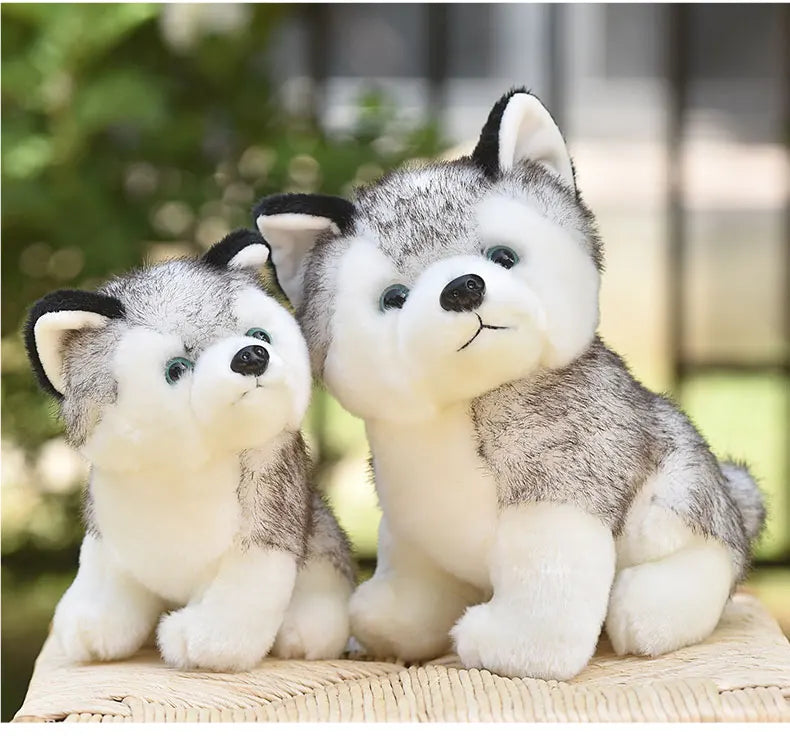 20cm Lifelike Cute Husky Dog Plush Toys Soft Stuffed Animal Kawaii  Children Toys Birthday Gift for Girl Cartoon Fluffy Dog Toy