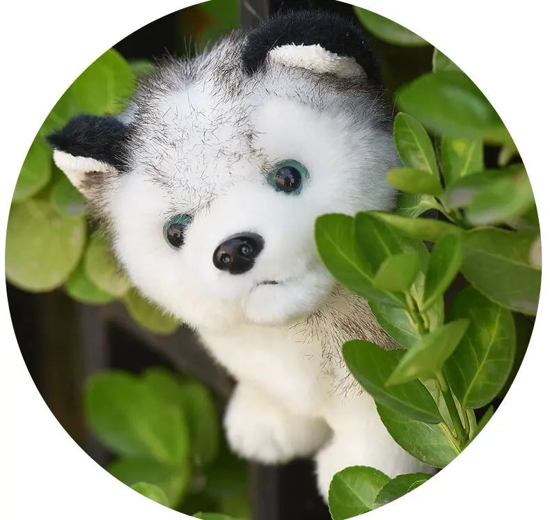 20cm Lifelike Cute Husky Dog Plush Toys Soft Stuffed Animal Kawaii  Children Toys Birthday Gift for Girl Cartoon Fluffy Dog Toy