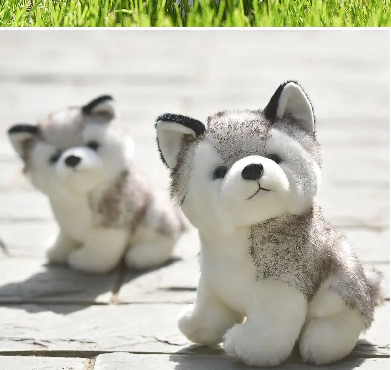 20cm Lifelike Cute Husky Dog Plush Toys Soft Stuffed Animal Kawaii  Children Toys Birthday Gift for Girl Cartoon Fluffy Dog Toy