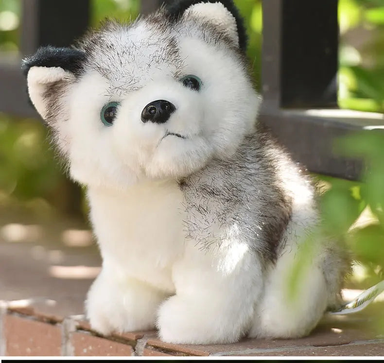 20cm Lifelike Cute Husky Dog Plush Toys Soft Stuffed Animal Kawaii  Children Toys Birthday Gift for Girl Cartoon Fluffy Dog Toy